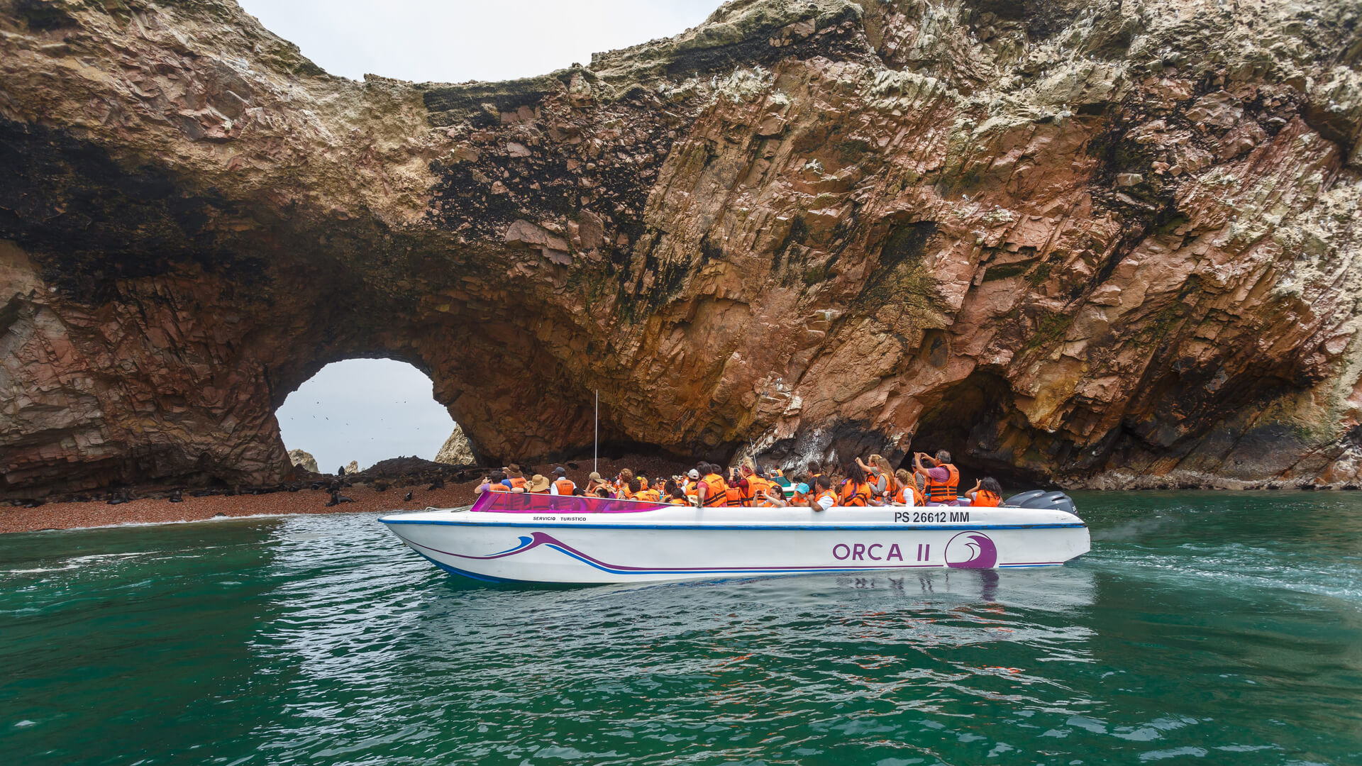 Tour Reserva Nacional de Paracas