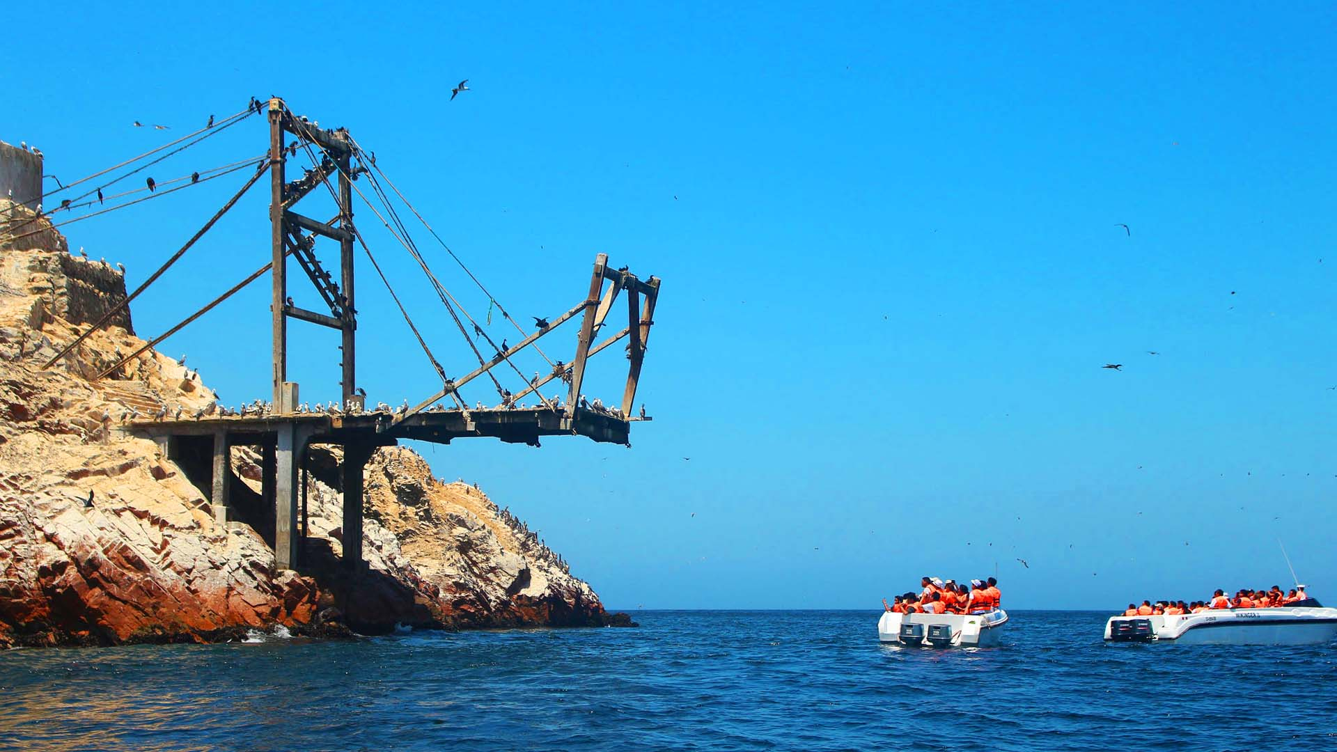 Tour Islas Ballestas