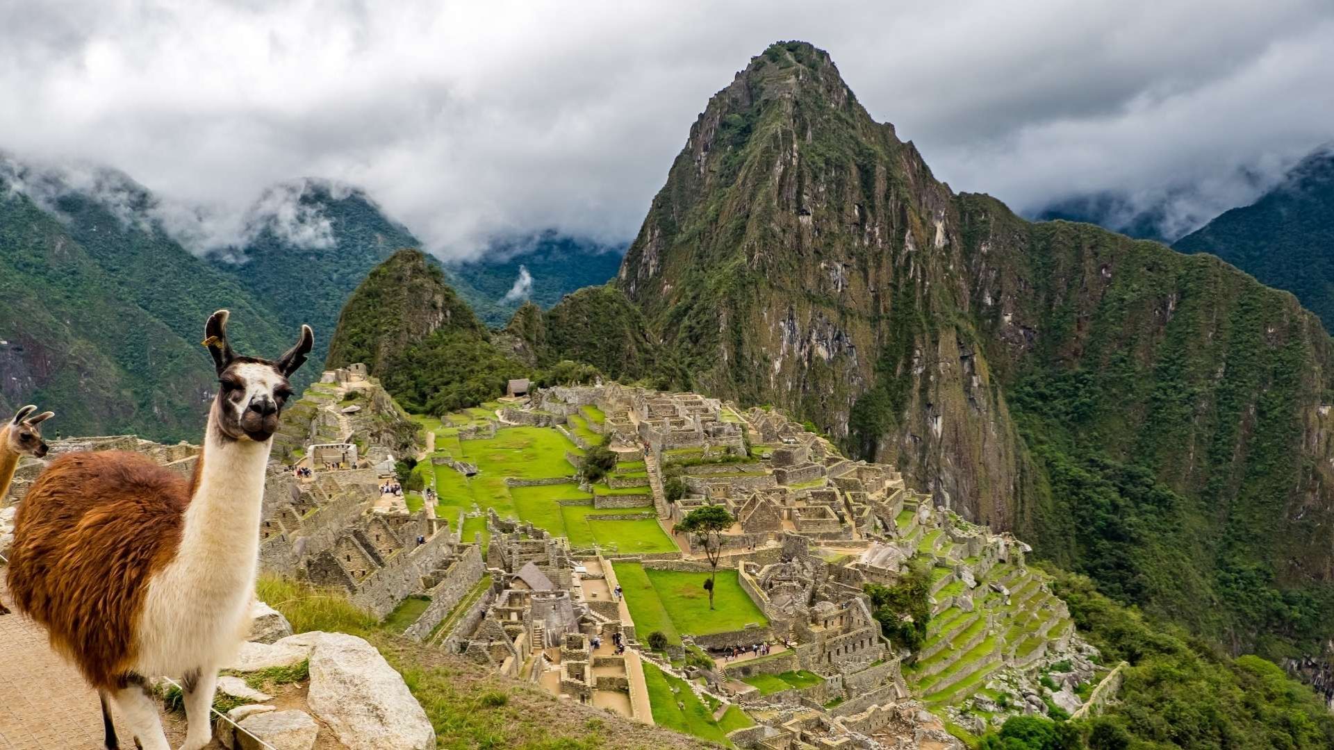 Machu Picchu Full Day