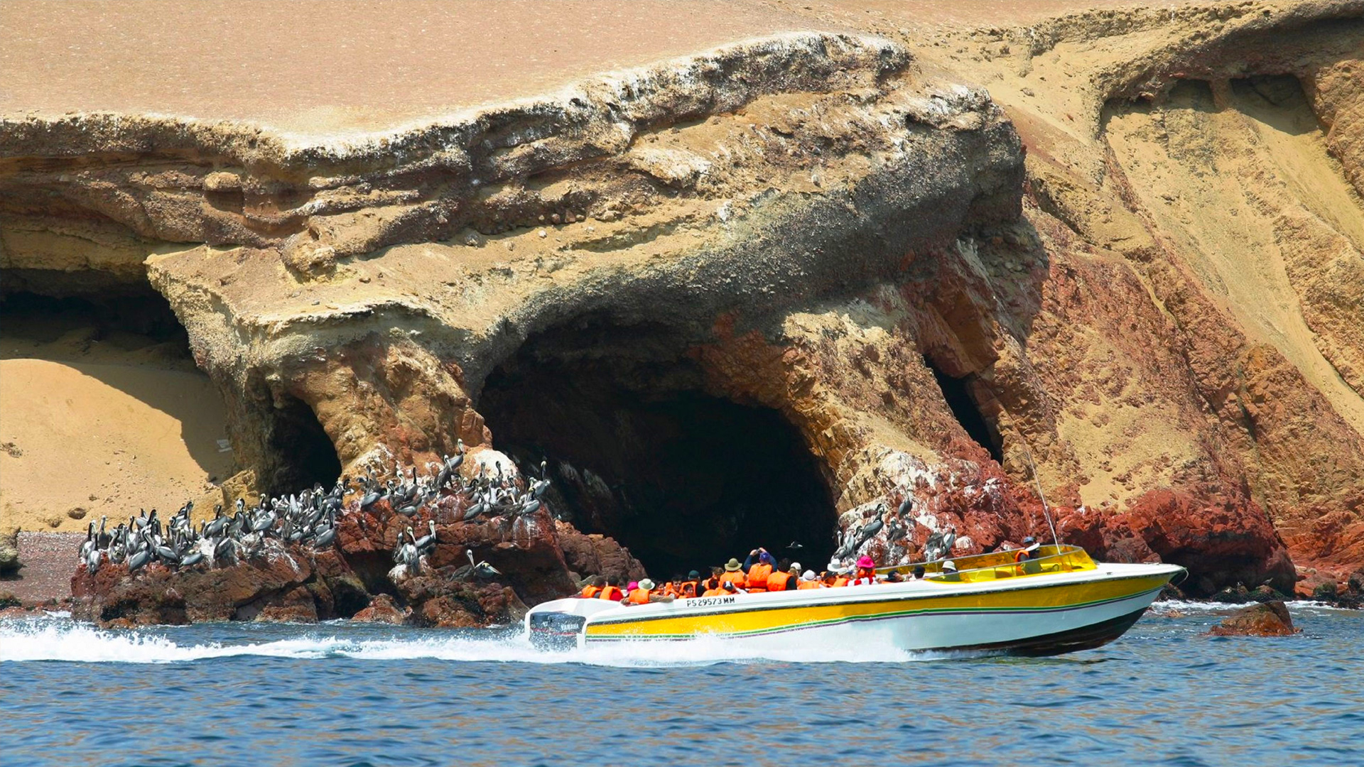 Tour Reserva Nacional de Paracas