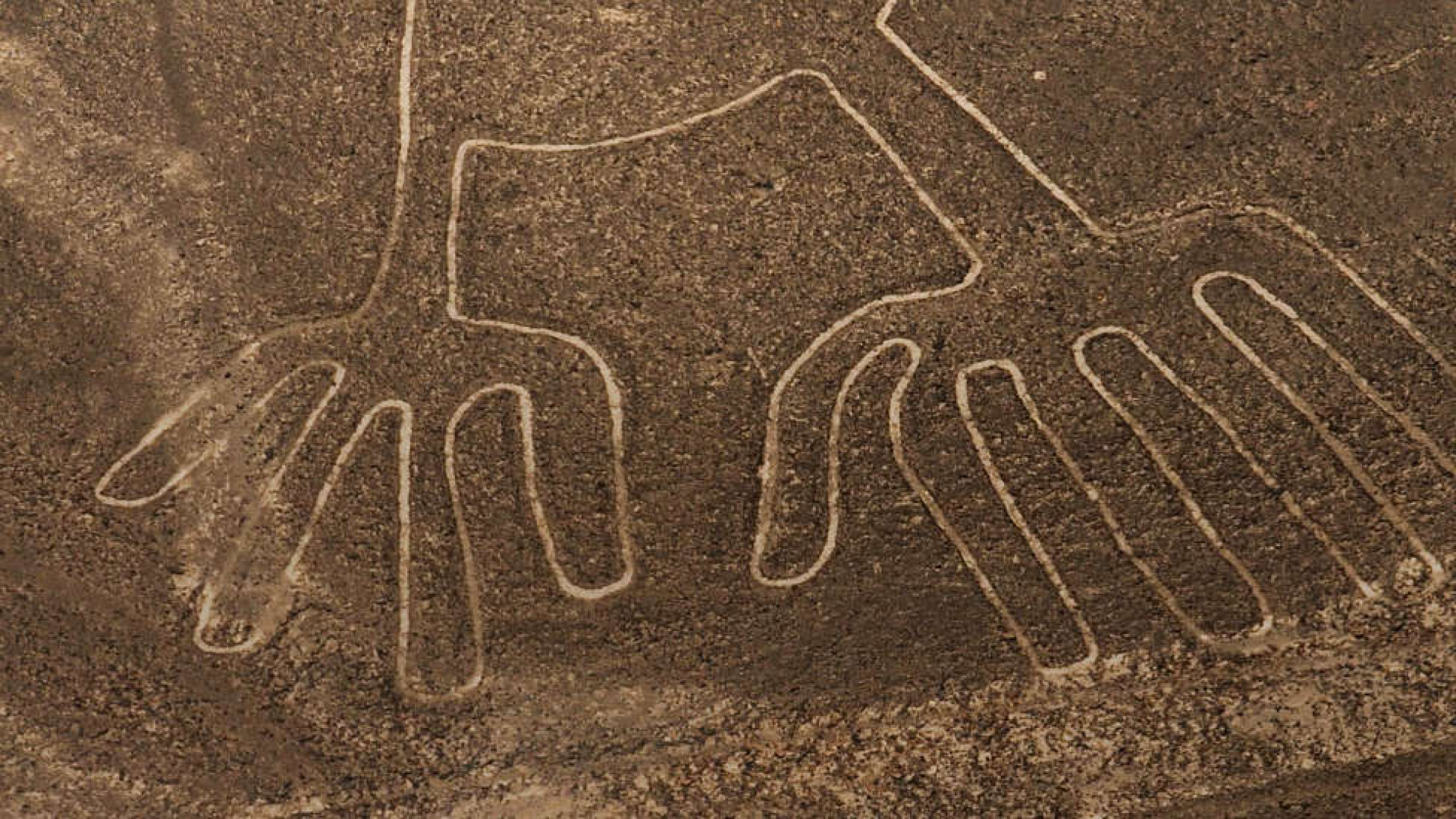 Sobrevuelo Líneas de Nasca